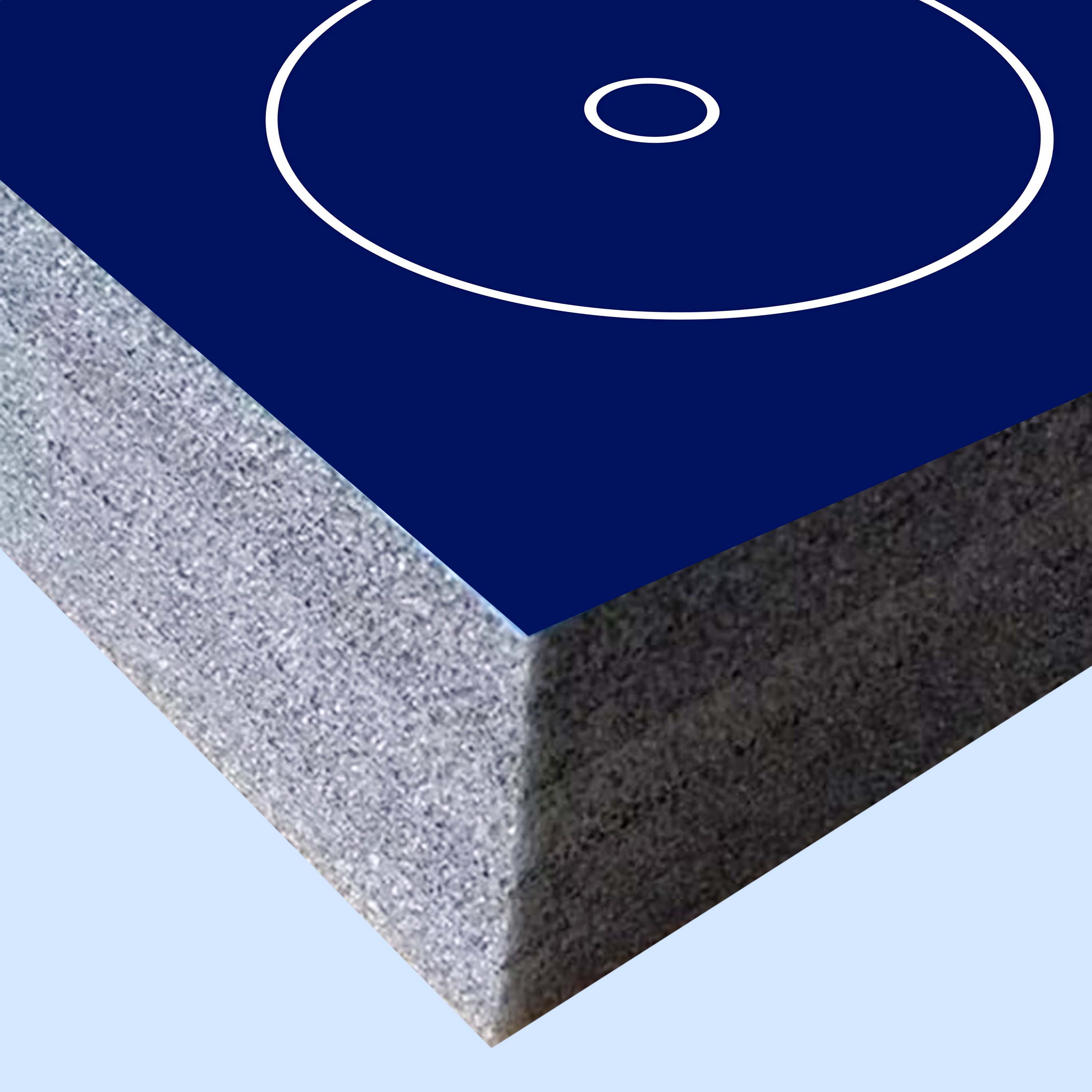 Wrestling Training Mat